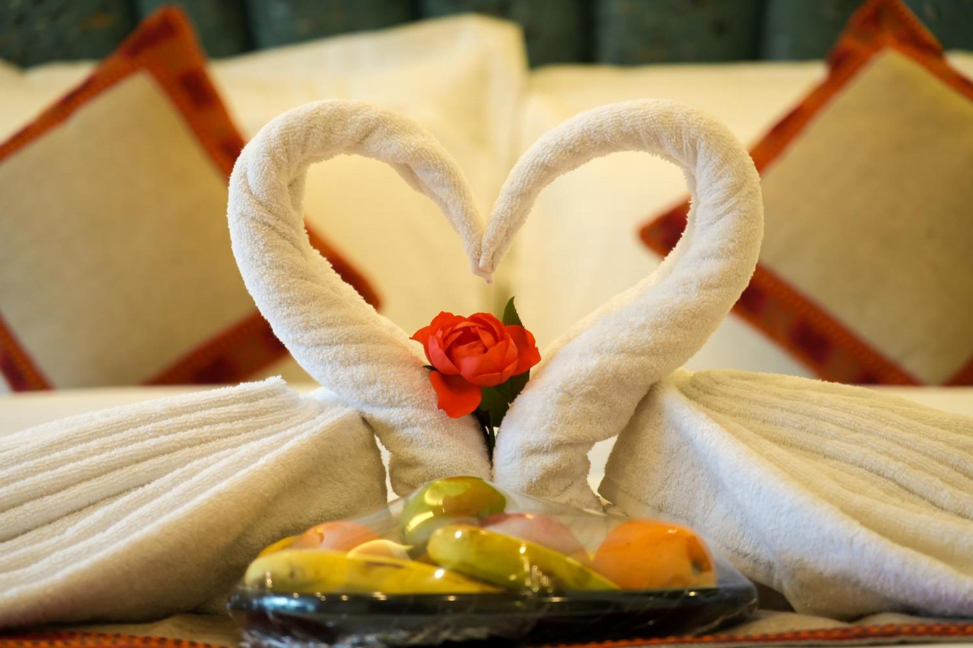 Hotel Touch Wood Manali (Himachal Pradesh)